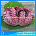 our main exporting product is frozen cooked octopus